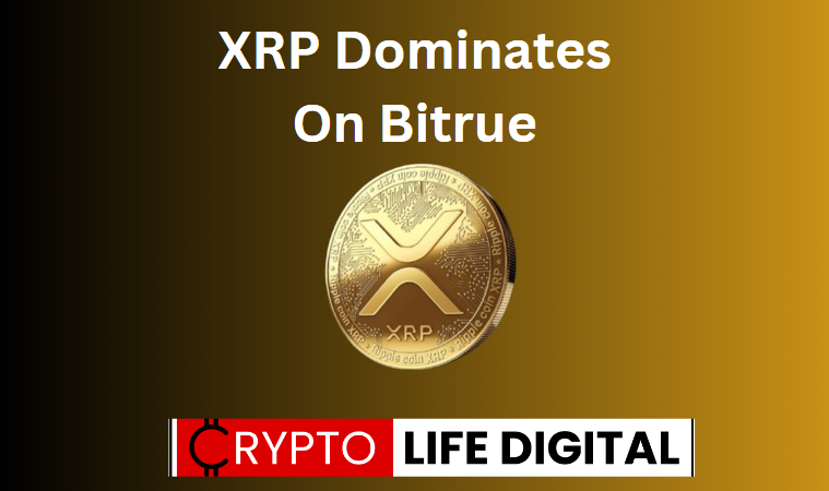 https://backup.cryptolifedigital.com/wp-content/uploads/2023/06/XRP-Dominates-On-Biture-1.png
