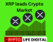 XRP Lead Crypto Market With 12.8% Increase XRP Lead Crypto Market With 12.8% Increase