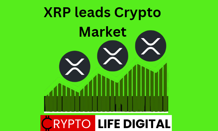 https://backup.cryptolifedigital.com/wp-content/uploads/2023/06/XRP-lead-Crypto-Market.png