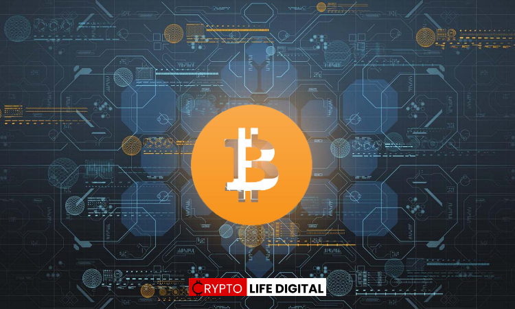Bitcoin Institutional Fund Accumulation Signals Increasing Confidence