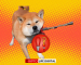 PointPay Announces Listing of Doge Killer Token (LEASH) on Crypto Banking Platform PointPay Announces Listing of Doge Killer Token (LEASH) on Crypto Banking Platform