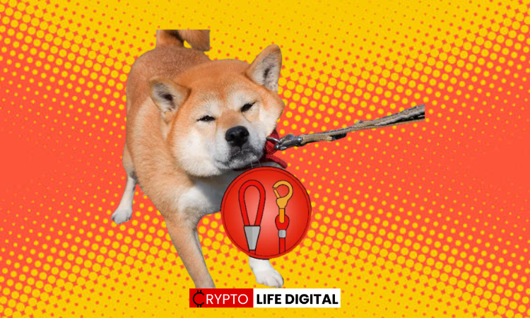 Bitrue Adds LEASH Token to its Platform, Completing the SHIB-Trifecta