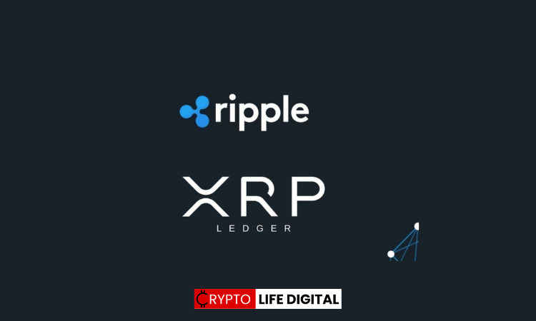 Ducati Roars into Web3 with XRP Ledger Partnership, Unveiling NFT Digital Collectibles