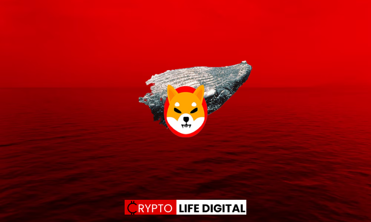 New Whale Address Buys 4 Trillion Shib Tokens