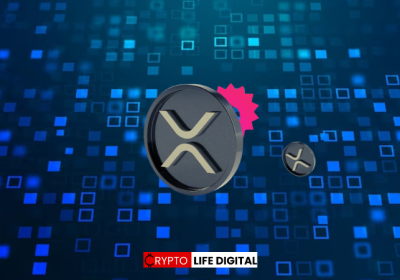 Evernode (EVERS) Airdrop Sparks Enthusiasm and Concerns Among XRP Holders