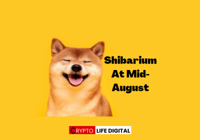 Austin Hilton, CEO of The Redhill Group, Highlights Significant Developments in Shiba Inu (SHIB) Ecosystem and Anticipated Shibarium Launch