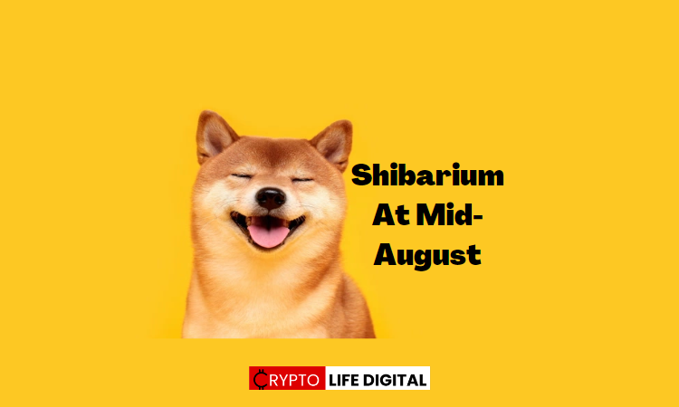 Redhill Group CEO predicts Launch of Shibarium to be August