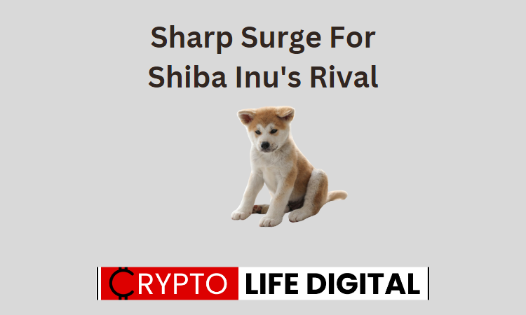 https://backup.cryptolifedigital.com/wp-content/uploads/2023/07/Sharp-Surge-For-Shiba-Inus-Rival.png