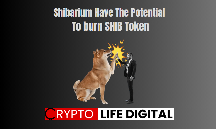 https://backup.cryptolifedigital.com/wp-content/uploads/2023/07/Shibarium-Have-The-Potential-To-Burn-SHIB.png