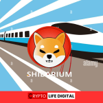 Shibarium launch could turn a $1000 Investment into a $1M