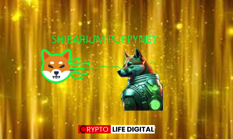 Shibarium's Puppynet Impressive growth follows Shytoshi Kusama's announcement