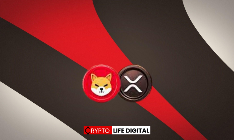 XRP and Shiba Inu dominate WazirX