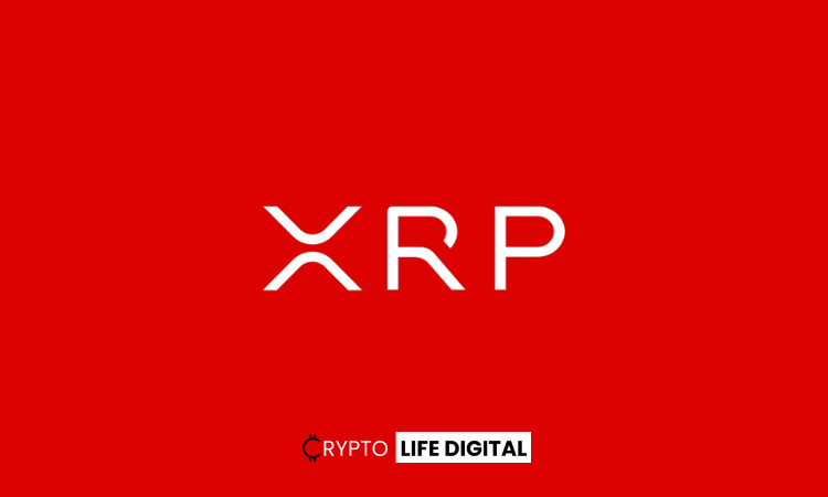 BinanceUS Engages XRP Community with Educational Twitter Poll
