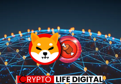 Shiba Inu (SHIB) Surges in Adoption as CoinGate Celebrates Second Anniversary Milestone