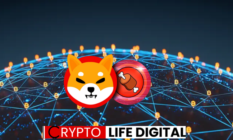 https://backup.cryptolifedigital.com/wp-content/uploads/2023/08/BitMEX.png