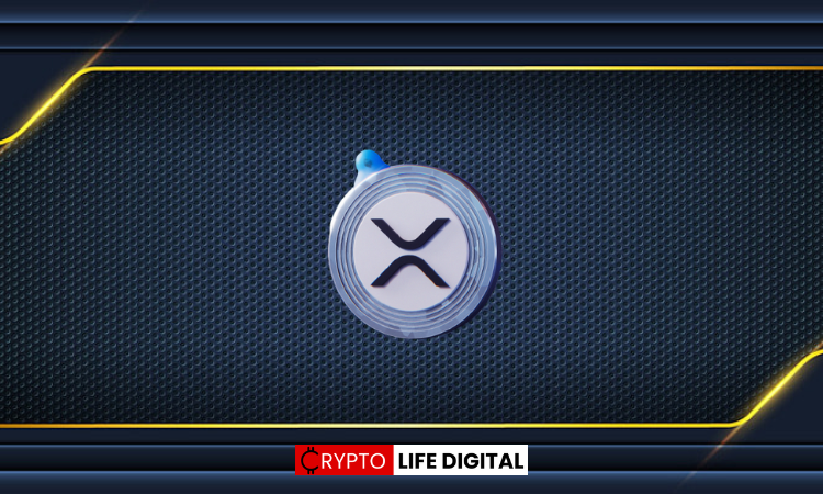 CRYPTOWZRD's XRP Treasure Map Points