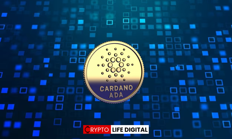 Cardano ranks up to the top 10 crypto assets