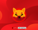 KuCoin Anticipates Shibarium Mainnet Launch and Speculation Surrounds SHIB and BONE Tokens KuCoin Anticipates Shibarium Mainnet Launch and Speculation Surrounds SHIB and BONE Tokens
