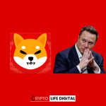 Shiba Inu Invites Elon Musk for a DM Following Twitter Appreciation