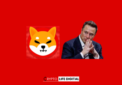 Shiba Inu Invites Elon Musk for a DM Following Twitter Appreciation
