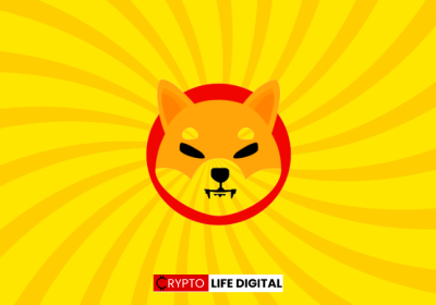 Shiba Inu: A Community Powerhouse Propelling the Project Forward