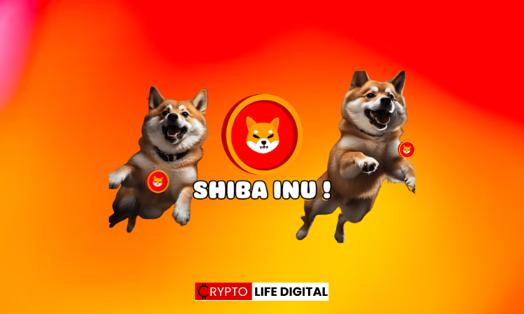 Shiba Inu displays some moves that may lead to $0.00001.