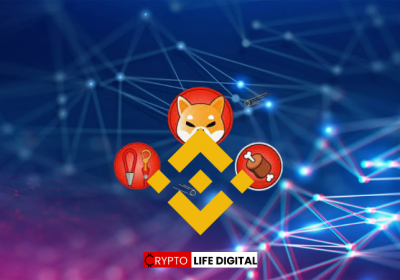 Shiba Inu’s BONE Token Anticipates Binance Listing Following Contract Renouncement