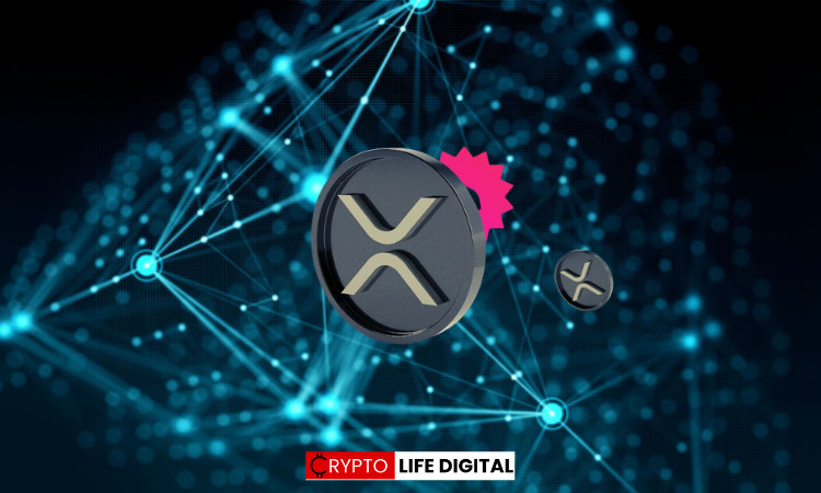 The XRP Myth Busters NFT Twitter account pointed out a crucial concern to the community