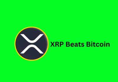 XRP Beat Bitcoin (BTC) In The Recent Market Recuperation Crusade,16B XRP Now Hold By 221 Wallets.