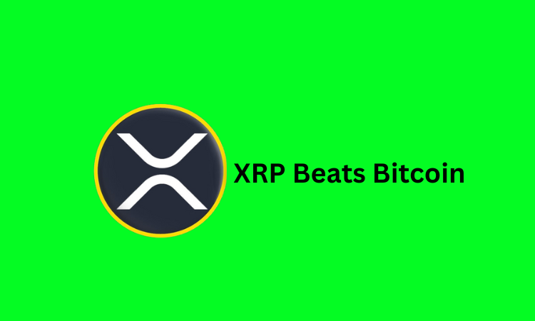 https://backup.cryptolifedigital.com/wp-content/uploads/2023/08/XRP-beats-Bitcoin.png