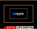 Ripple Could Face Billions in Fines: Shocking Scenario Revealed by Analyst Ripple Could Face Billions in Fines: Shocking Scenario Revealed by Analyst