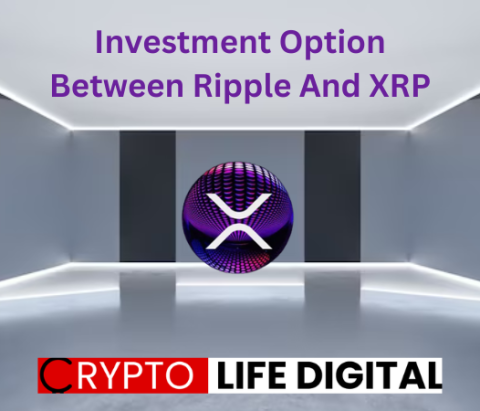Investment Option Between Ripple And XRP: Which One Sould You Choose? According To Expert
