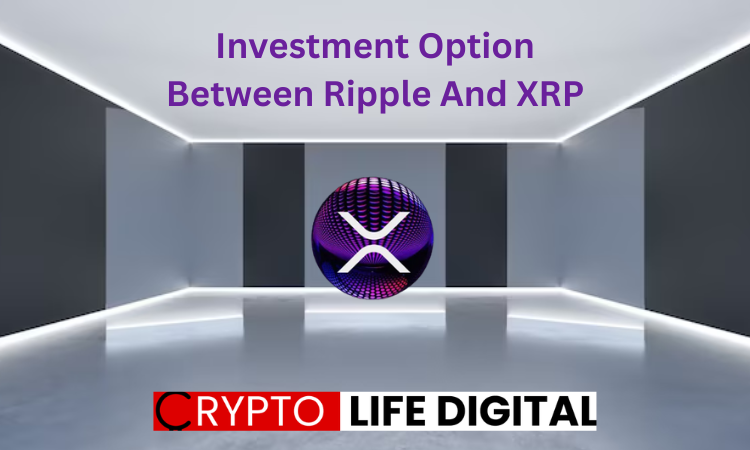 https://backup.cryptolifedigital.com/wp-content/uploads/2023/09/Investment-Option-Between-Ripple-And-XRP.png