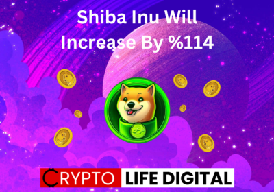 Shiba Inu Will Increase By %114 Percent In 2024: Google Bard Prediction