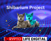 Shibarium Project: Shibarium Surpasses 1 Million Wallet Shibarium Project: Shibarium Surpasses 1 Million Wallet