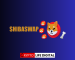 Shiba Inu’s Surge: Shibarium’s Token Burn Sparks 20% December Gain, New Investors Flock In Shiba Inu’s Surge: Shibarium’s Token Burn Sparks 20% December Gain, New Investors Flock In