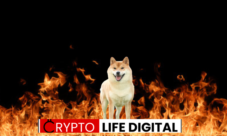 https://backup.cryptolifedigital.com/wp-content/uploads/2024/01/Untitled-design.png