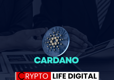 Cardano (ADA) Sees Major Investor Influx, Poised to Reclaim Top 10 Crypto Spot?