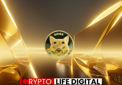 DN404 Standard Adopted By Shiba Inu