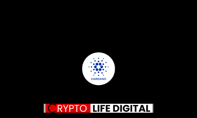 https://backup.cryptolifedigital.com/wp-content/uploads/2024/02/Untitled-design-2-1.png