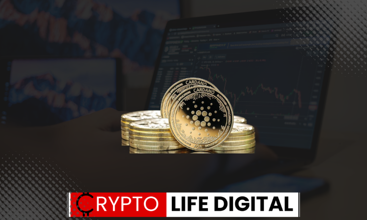 https://backup.cryptolifedigital.com/wp-content/uploads/2024/02/Untitled-design-3.png