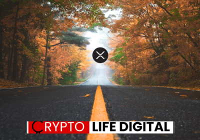 Crypto Exchange BitMEX Lists XRP for Spot Trading Despite Falling Prices