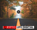 XRP Trading Volume Soars, Sparking Price Surge Speculation XRP Trading Volume Soars, Sparking Price Surge Speculation