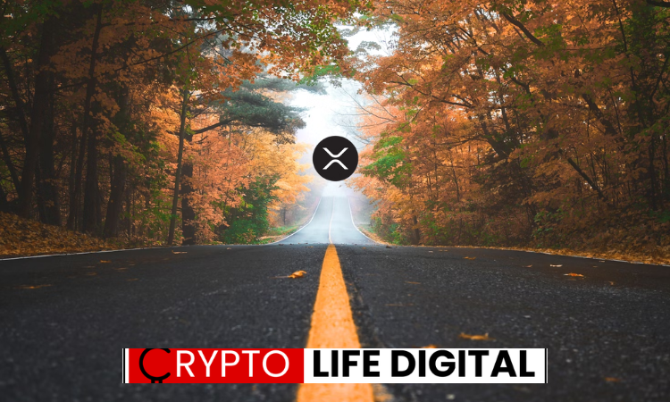 https://backup.cryptolifedigital.com/wp-content/uploads/2024/02/Untitled-design.png