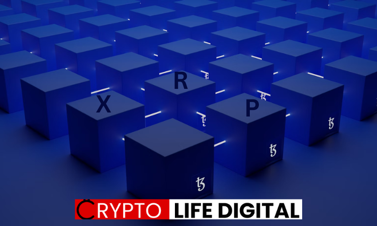 https://backup.cryptolifedigital.com/wp-content/uploads/2024/02/X-R-P.pnghttps://backup.cryptolifedigital.com/wp-content/uploads/2024/02/X-R-P.png