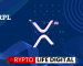 Ripple (XRP) Slumps Alongside Market, But Bullish Analyst Foresees 1000%-3000% Gains Ripple (XRP) Slumps Alongside Market, But Bullish Analyst Foresees 1000%-3000% Gains