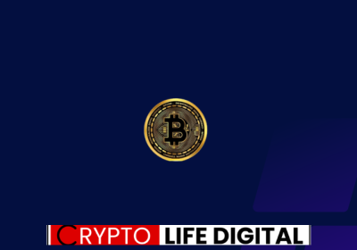 World 10th Largest Asset: Bitcoin Ahead Of Tesla