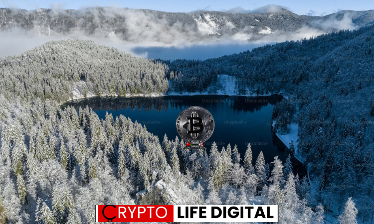 https://backup.cryptolifedigital.com/wp-content/uploads/2024/02/bitcoin-3.png