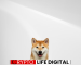 Meme Coin Showdown: Shiba Budz (BUDZ) Emerges as a Rival to Shiba Inu (SHIB) Meme Coin Showdown: Shiba Budz (BUDZ) Emerges as a Rival to Shiba Inu (SHIB)