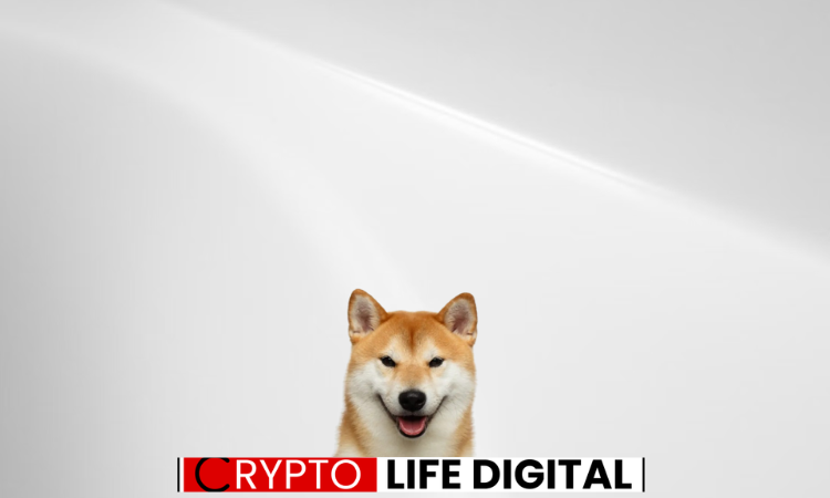 https://backup.cryptolifedigital.com/wp-content/uploads/2024/02/sh.png